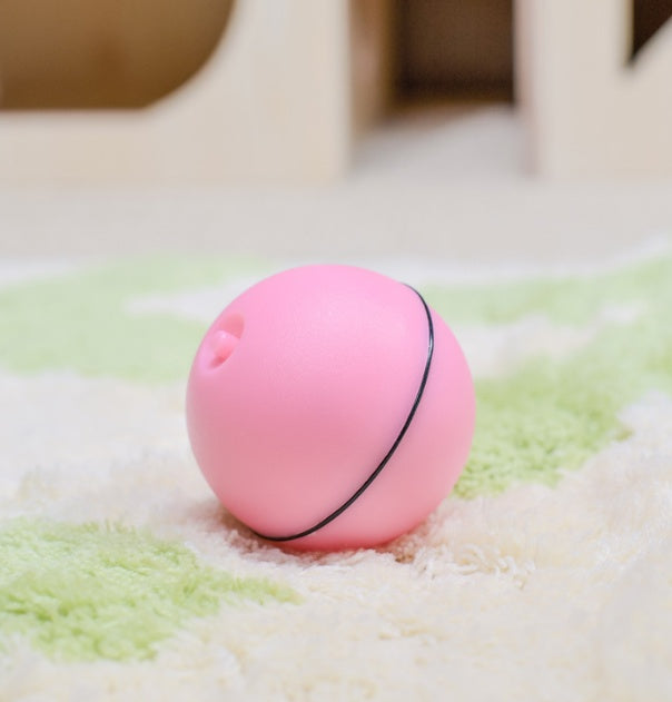 MJHOMEFINDER | The Shop: LED Laser Rolling Cat Toy Ball