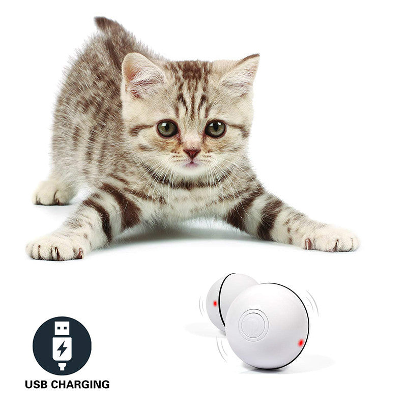 MJHOMEFINDER | The Shop: LED Laser Rolling Cat Toy Ball