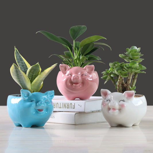“Piggy Planters” – Home Grown & Happy Flower Pot Ceramic Decorative Ornaments
