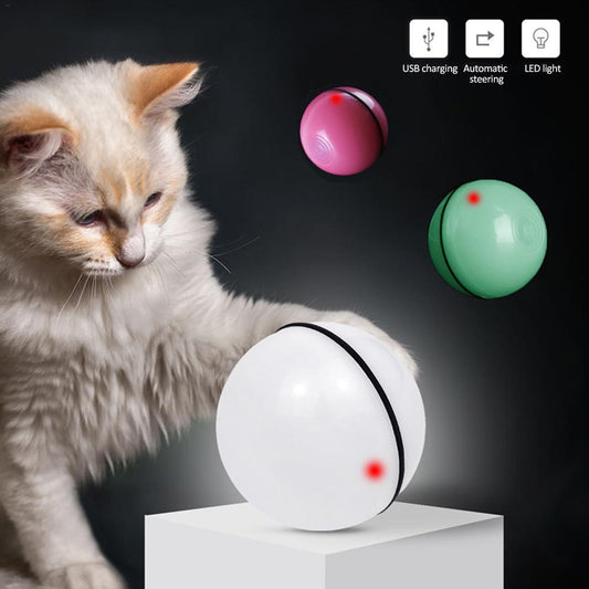 MJHOMEFINDER | The Shop: LED Laser Rolling Cat Toy Ball
